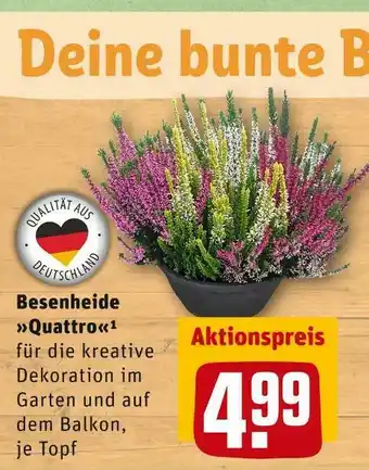 REWE Besenheide »quattro« Angebot