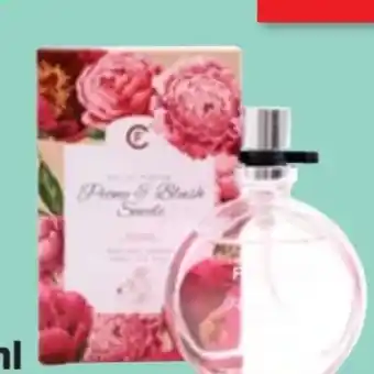Thomas Philipps Natural Spray Edp Angebot