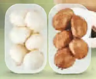 Netto Marken-Discount Riesenchampignon Angebot