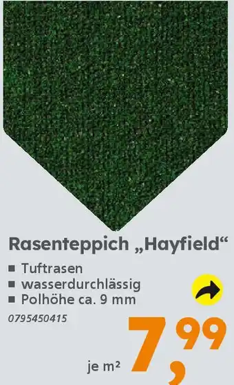 Globus Baumarkt Rasenteppich „Hayfield" Angebot