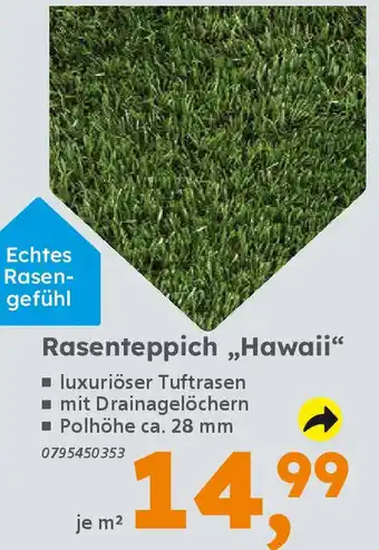 Globus Baumarkt Rasenteppich „Hawaii“ Angebot