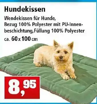 Thomas Philipps Hundekissen Angebot