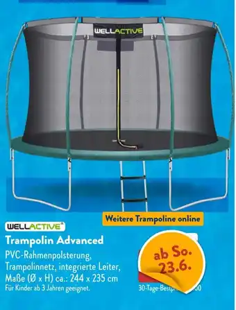 Aldi Süd WELLACTIVE Trampolin Advanced Angebot