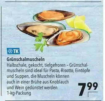 CITTI Markt Grünschalmuscheln Angebot