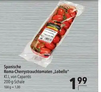 CITTI Markt Spanische Roma-cherrystrauchtomaten „lobello” Angebot