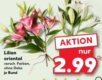 Kaufland Lilien oriental Angebot