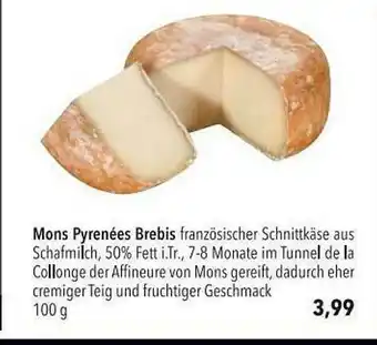 CITTI Markt Mons Pyrenées Brebis Angebot