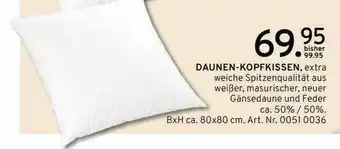 Möbel Heinrich Daunen-kopfkissen Angebot