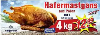 Wiglo Wunderland Hafermastgans Angebot