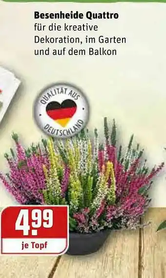 REWE Besenheide Quattro Angebot