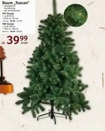 Selgros Baum „tuscan” Angebot