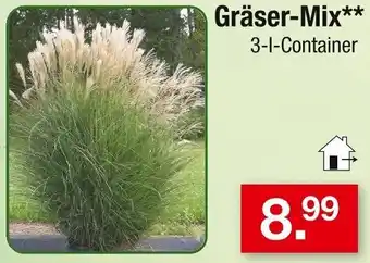 Zimmermann Gräser-Mix Angebot
