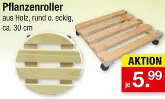 Zimmermann Pflanzenroller Angebot