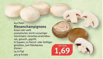 Feneberg Aus Polen Riesenchampignons Angebot