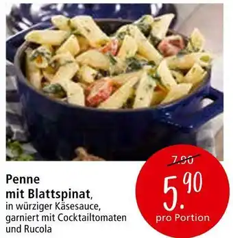 Zurbrüggen Penne Angebot