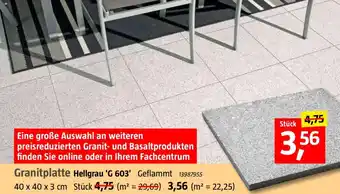 Bauhaus Granitplatte Hellgrau 'G 603' Angebot