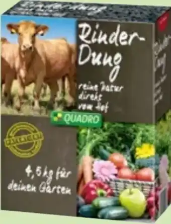 Thomas Philipps Rinderdung Angebot