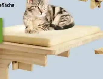 Thomas Philipps Liegeplatz Angebot