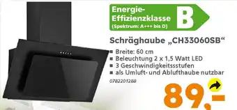 Globus Baumarkt Schräghaube,,CH33060SB" Angebot