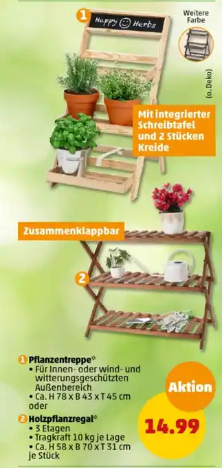 PENNY 1 Pflanzentreppe o. 2 Holzpflanzregal Angebot