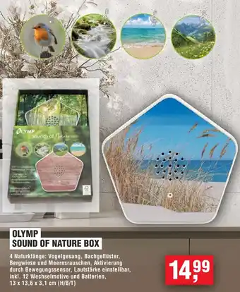 Handelshof OLYMP SOUND OF NATURE BOX Angebot