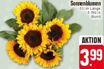 E-Center Sonnenblumen Angebot