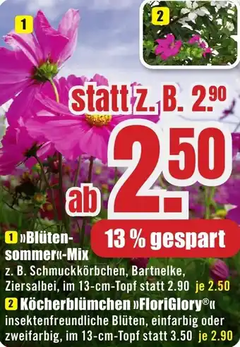 B1 Discount Baumarkt Blütensommer-Mix Angebot