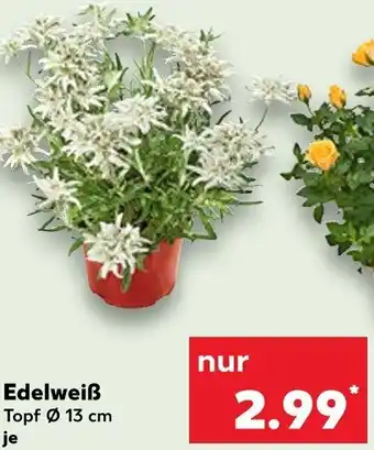 Kaufland Edelweiß Angebot
