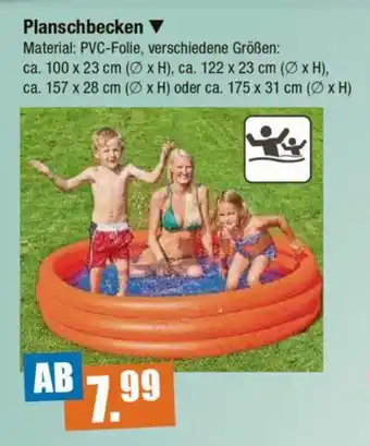 V Markt Planschbecken Angebot