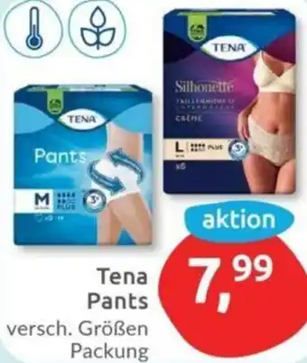 Budni Tena Pants Angebot
