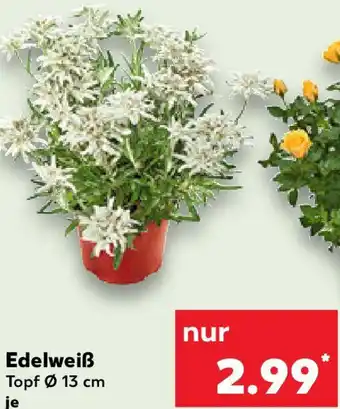 Kaufland Edelweiß Angebot