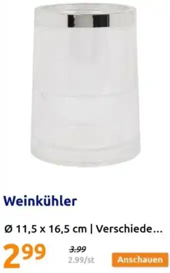 Weinkühler Angebot bei Action