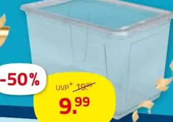 ROLLER XXL Aufbewahrungsbox Angebot
