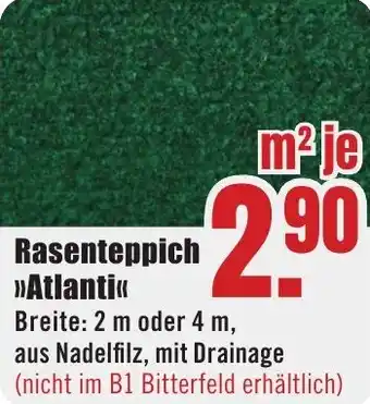 B1 Discount Baumarkt Rasenteppich Atlanti Angebot