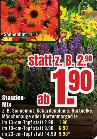 B1 Discount Baumarkt Stauden Mix Angebot