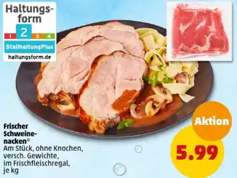 PENNY Frischer Schweinenacken Angebot