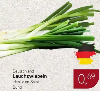 Dornseifer Deutschland Lauchzwiebeln Angebot