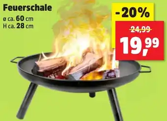Thomas Philipps Feuerschale Angebot