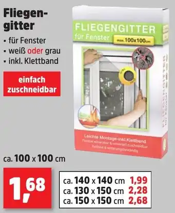 Thomas Philipps Fliegengitter Angebot