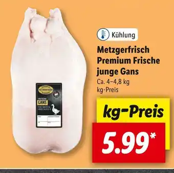 Lidl Metzgerfrisch premium frische junge gans Angebot