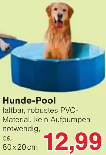 Wiglo Wunderland Hunde-Pool Angebot