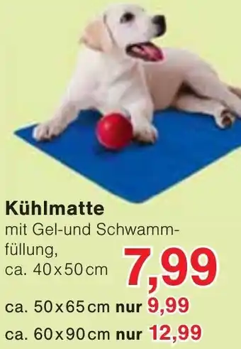 Wiglo Wunderland Kühlmatte Angebot