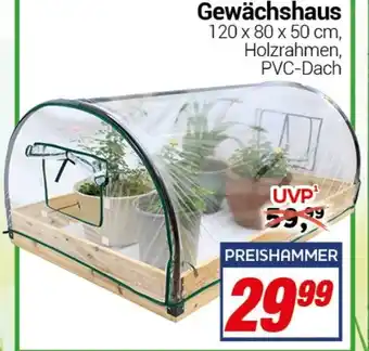 CENTERSHOP Gewächshaus Angebot