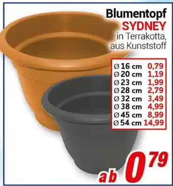 CENTERSHOP Blumentopf SYDNEY Angebot