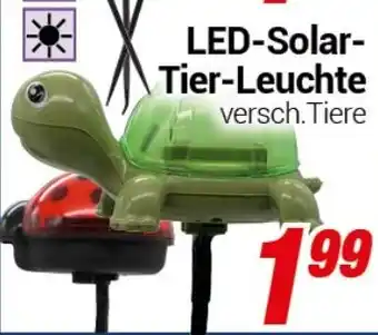 CENTERSHOP LED-Solar- Tier-Leuchte Angebot