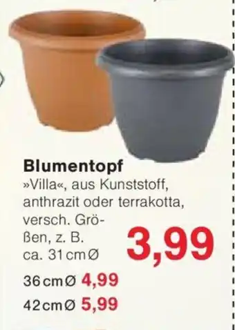 Jawoll Blumentopf Angebot