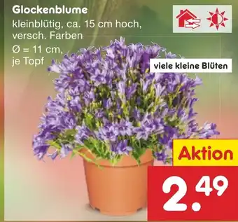 Netto Marken-Discount Glockenblume Angebot