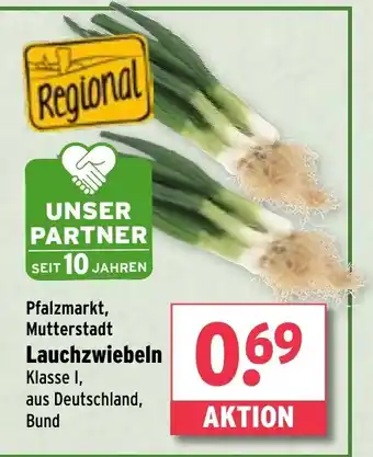 Wasgau Lauchzwiebeln Angebot