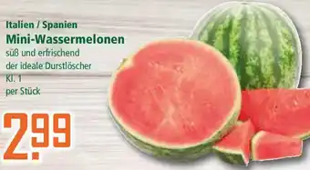 Klaas und Kock Italien / Spanien Mini-Wassermelonen Angebot
