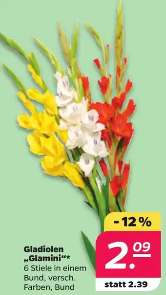 NETTO Gladiolen „Glamini" Angebot